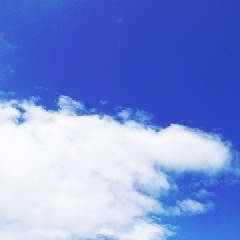 【急上昇中】春から夏にかけて登場する注目のキーワード